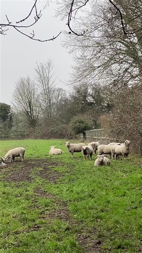 Les Hack (@leshack70)’s videos with original sound - Les Hack