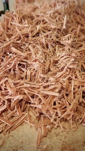 Thats one sharp bit! #routertable #woodworking #bearingbit