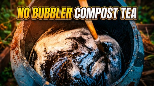 How to make compost tea at home without a bubbler