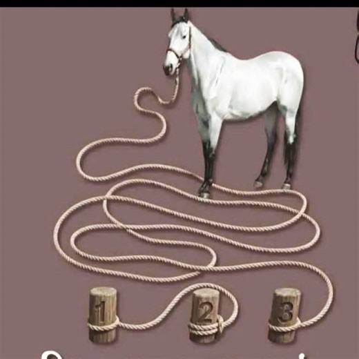 Post from Exotic Learning