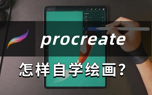 【ipad绘画】作为新手，ipad绘画如何自学？procreate插画教程新手入门保姆级/新视角讲解/真的有用！入门必看即会！最强绘画