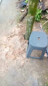 Diy pull up bar #diy #pullupbar #reelsvideoシ | AraThenics