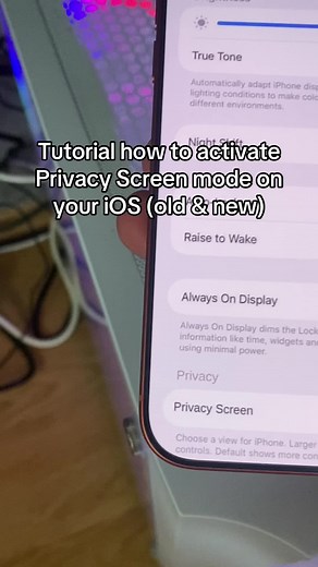 iOS 18: Activate iPhone Privacy Screen Mode