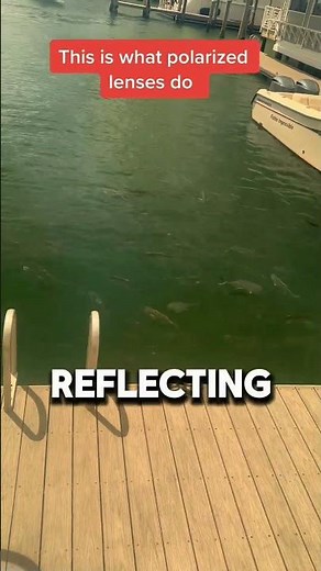 The Sunglasses That Make Water Look Invisible 😳