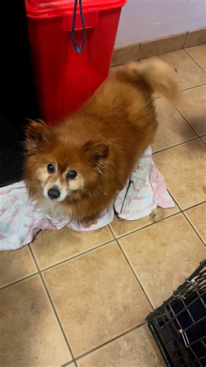 4K views · 99 reactions | We planned to introduce you to the world’s...