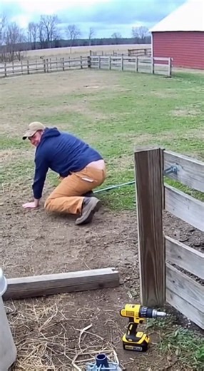 A quiet repair turns chaotic when the donkey delivers a surprise kick that slams into the gate, sending the man tumbling. A perfect mix of panic and comedy! #FarmFail #DonkeyDrama #UnexpectedMoments #SecurityCamFootage #ReelComedy #TrendingNow | Natural TV