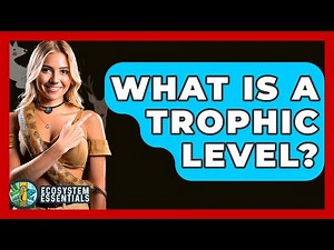What Is A Trophic Level? - Ecosystem Essentials