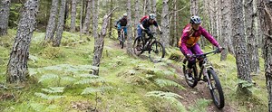 Mountain Biking Courses at Glenmore Lodge | Mountain Biking in Scotland