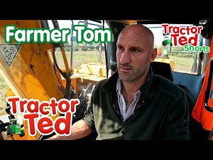 Let's Look At Farmer Tom On Father's Day 👩‍🌾 | Tractor Ted Shorts | Tractor Ted Official Channel
