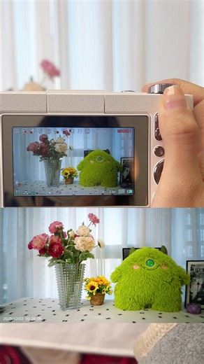 Affordable Digital Cameras on Huge Sale Today