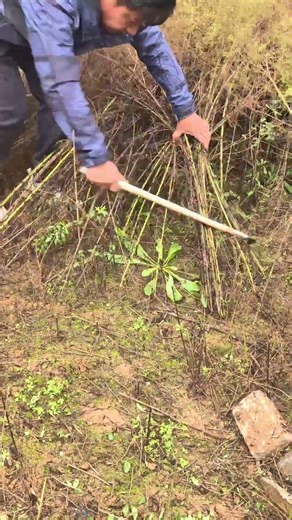 Cutting some rattan and weaving a bamboo basket is a skill passed down from my