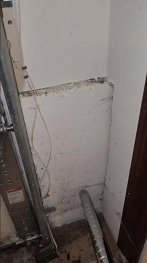 How To Use A Vacuum Cleaner To Get Rid Of Spiders