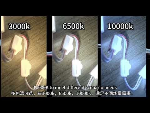 ✨ LBY's Mini LED Module: Small Size, Big Impact! ✨