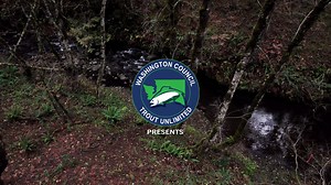The White Salmon Spawning Survey Project