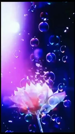 salsa Love on TikTok