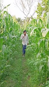 I Spent 10 Days Creating FUNNY Videos with Do Fun Ltd Here's What I Learned