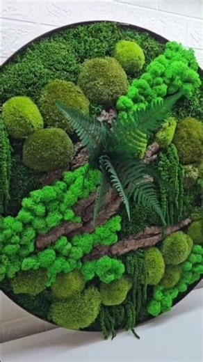 Tablouri cu licheni care aduc natura direct in casa ta 🌿