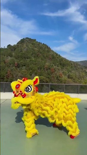 New Year's Fireworks & Lion Dance Fun