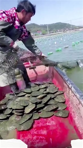 个性定制珍珠项链，满足所有风格需求