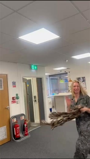 Our 40th birthday is around the corner and we might steal this idea from Bristol’s Adecco Branch Manager Beth Thatcher who made sure the Office Angels and Adecco teams danced for their cake! | Office Angels