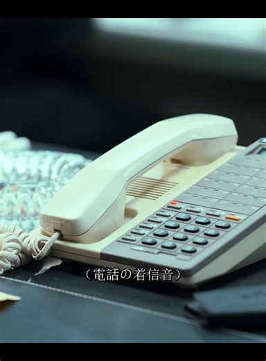 日本の銀行融資問題と村西とおるの映画