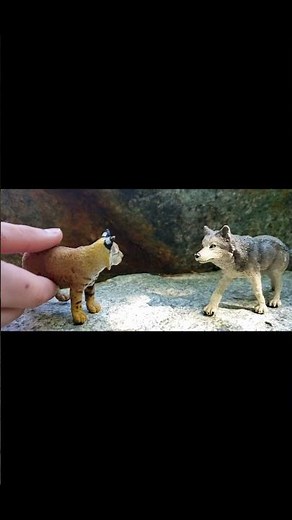 The Runaway Princess Funny Moments