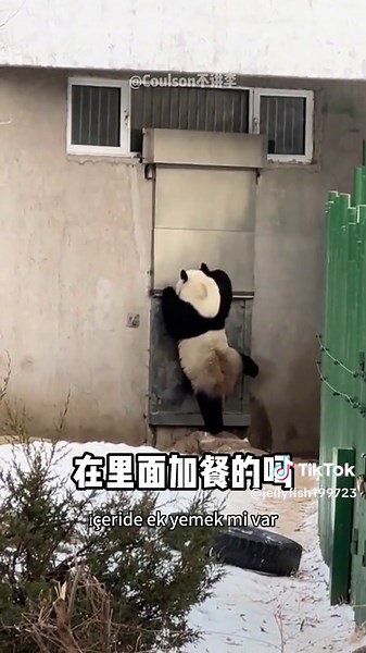 Hayvan Seslendirme ile Eğlenceli Anlar