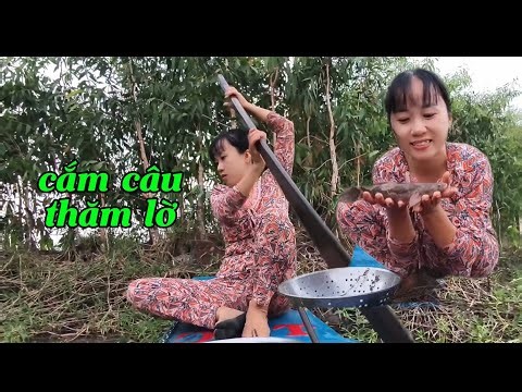 💚cắm câu,thăm lờ và cảnh chim nhỏ tắm sông #xuantrangmientay #vietnam #chill #vlog #cắmcâu 