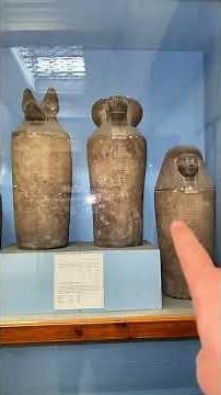 They Mummified Birds Too… Unbelievable Ancient Egypt Discovery!”