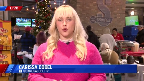 Demand for food banks in Springfield doubles within past week