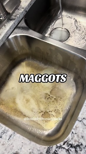 Effective Sink Cleaning Hacks for Maggots and Dirt