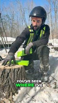 The Tree Felling Trick You’re NOT Using!