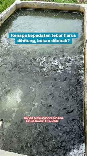 135 reactions · 20 comments | Kepadatan tebar menentukan keberhasilan...