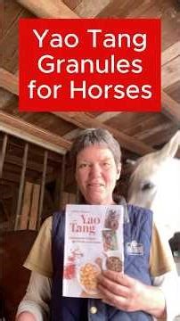 Feeding Recommendations for Horses - my TCVM herbal formulas