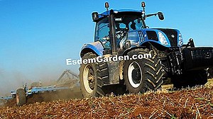 Cómo Plantar Photinia: Los Gestos Correctos 🌿 Todo Sobre Jardinería Y Diseño De Jardines - 2025