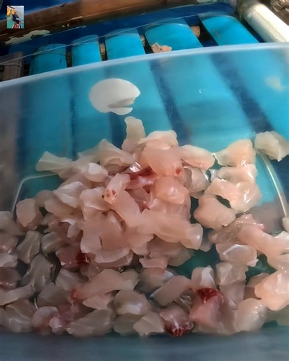 26K views · 1.2K reactions | Kinitkit na hilaw | Native Channel | Facebook