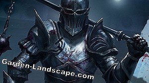 Plants: Morningstar sedge - plants, care and propagation | 2025