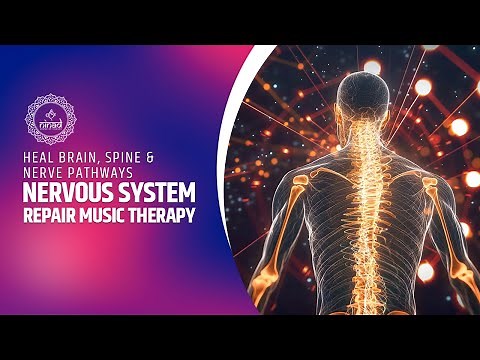 Nervous System Repair Music Therapy - Heal Brain, Spine & Nerve Pathways - Relaxation Frequencies
