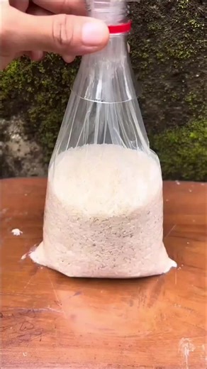 Exploring the United States: A Journey Across the Nation