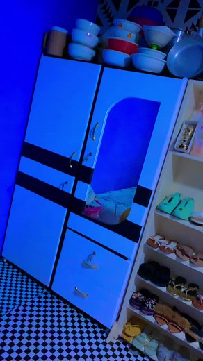 Organized Shoe and Handbag Display in Stylish Room