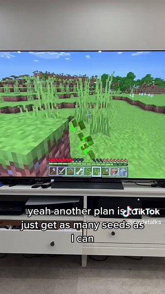 How Long is a Minecraft Day?