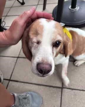 Wild West Rescue - Montana to Alberta