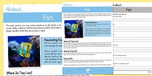 Fish Differentiated Reading Comprehension Activity
