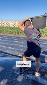 22K views · 2.6K reactions | Buenos días 六‍❤️ Buscando soluciones a...