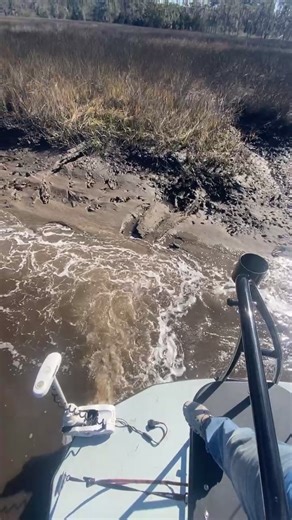 Mark Robinson on Reels