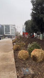 1.6K views · 409 reactions | Ce matin, c’est sous un ciel de novembre...