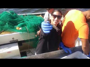 Crabbing And Shrimping Part 1 in OBX.