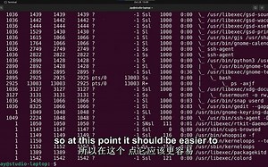【Linux命令系列】系统进程关系分析