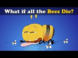 What if all the Bees Die? + more videos | #aumsum #kids #science #education #children