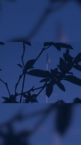 8.8K views · 353 reactions | In 1973, the U.S. launched Operation...